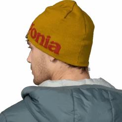 Patagonia Beanie Hat -Ski Sports Shop 100132535 LBCO 3