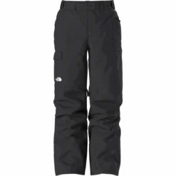 The North Face Men's Freedom Pant