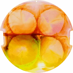 Heavy Duty Saucer 14 Heavy Duty Saucer -Ski Sports Shop 100244373 CRMS 1