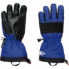 The North Face Youth Montana Ski Glove -Ski Sports Shop 100268856 BLUE 1 4db7dd08 f7f9 4665 899f 8e5cea4acb66