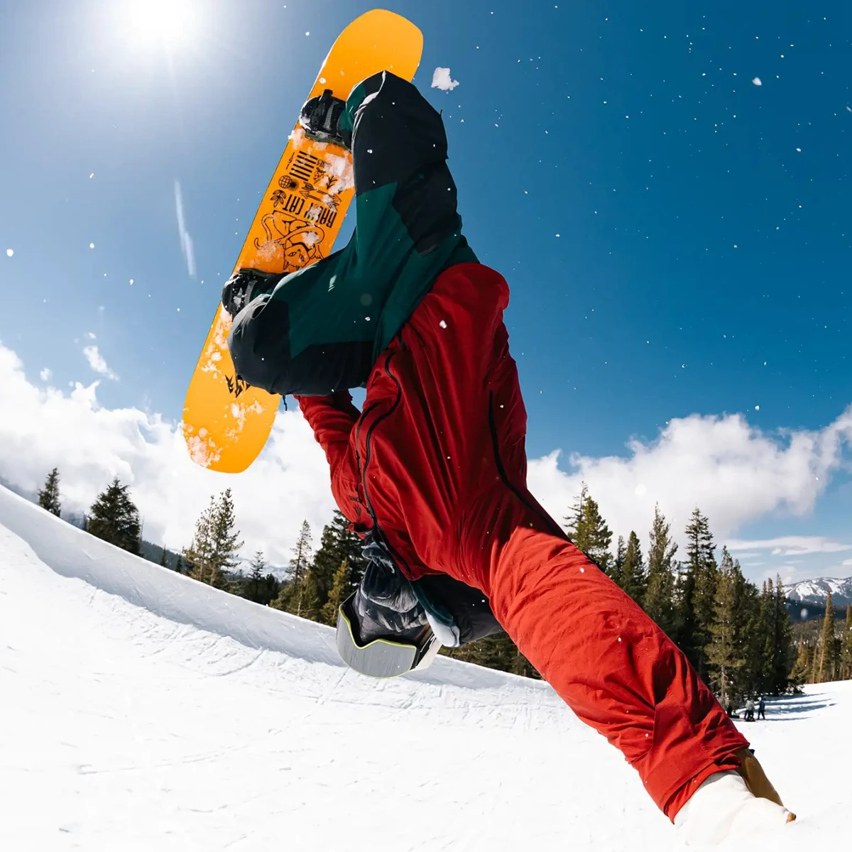 Rally Cat 10 Rally Cat - Image 8