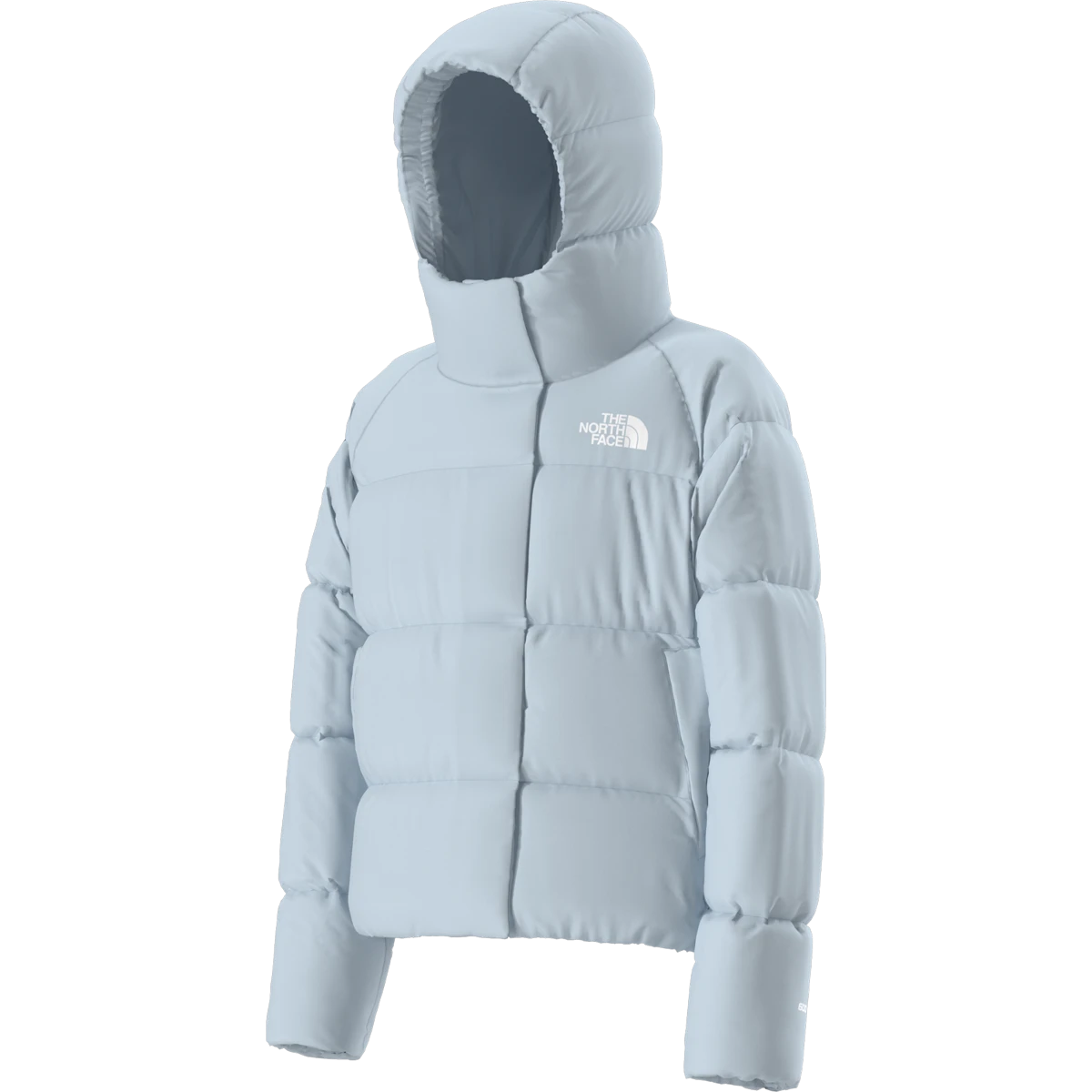 The North Face Youth North Down Hooded Jacket 4 The North Face Youth North Down Hooded Jacket - Image 2