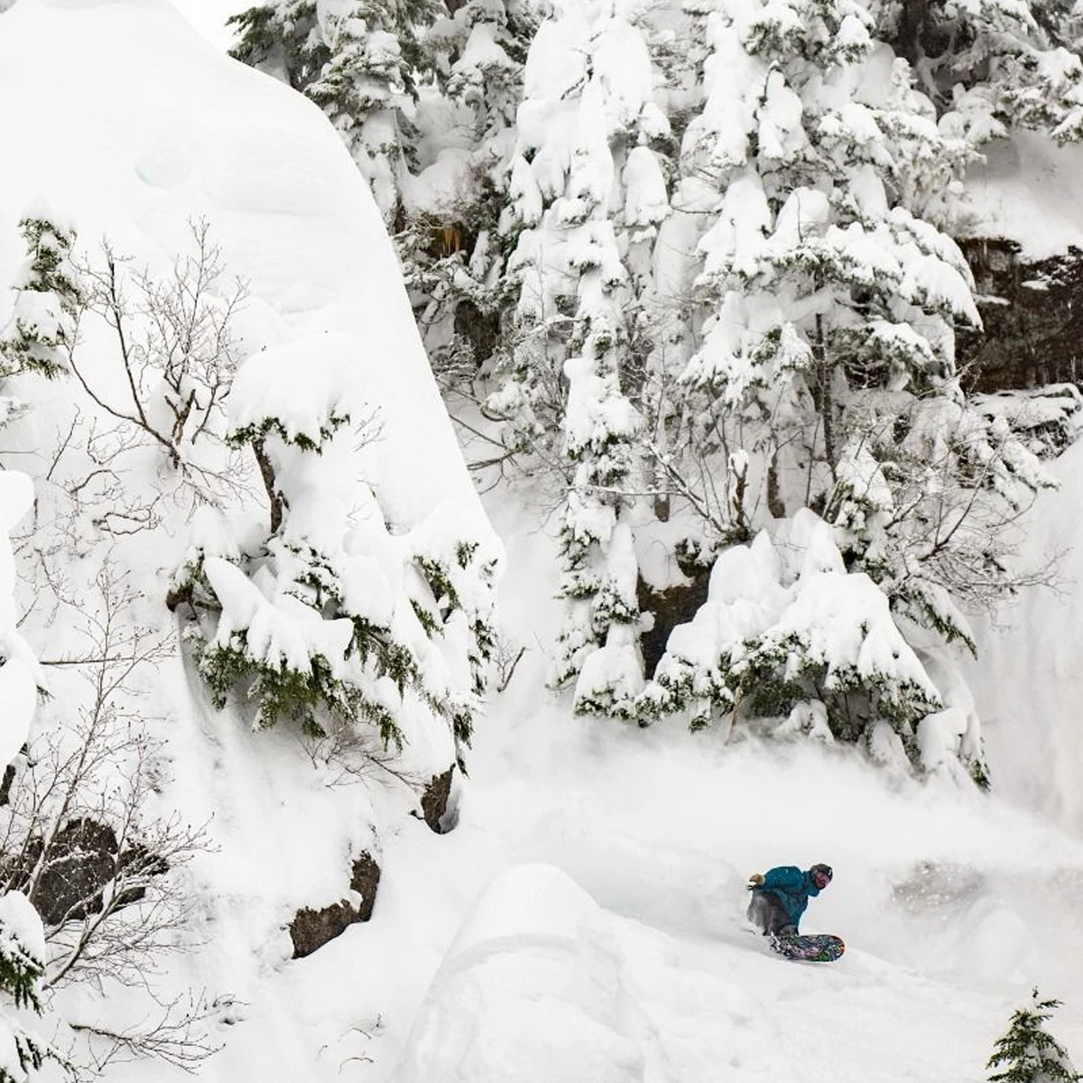 Lib Tech Jamie Lynn 5 Lib Tech Jamie Lynn - Image 3