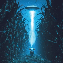 Yes! Greats -Ski Sports Shop 100292137 156 2