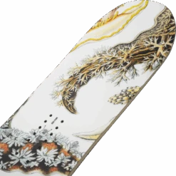 Yes! Women's Hell Yes 9 Yes! Women's Hell Yes -Ski Sports Shop 100292138 3