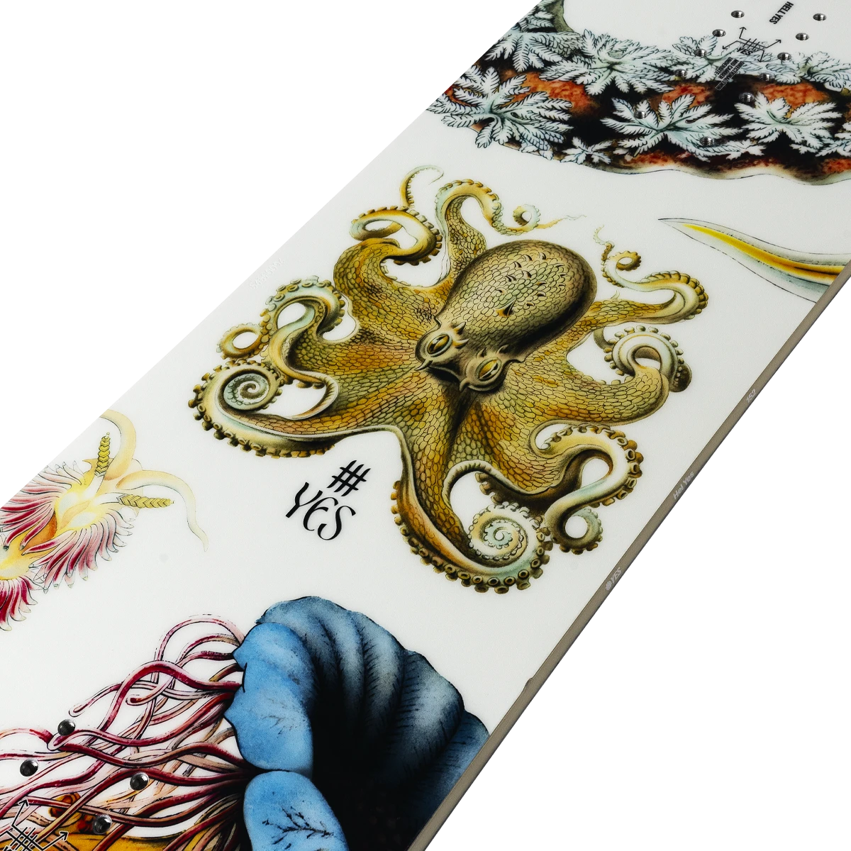 Yes! Women's Hell Yes 6 Yes! Women's Hell Yes - Image 4