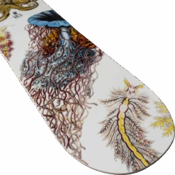 Yes! Women's Hell Yes 11 Yes! Women's Hell Yes -Ski Sports Shop 100292138 5