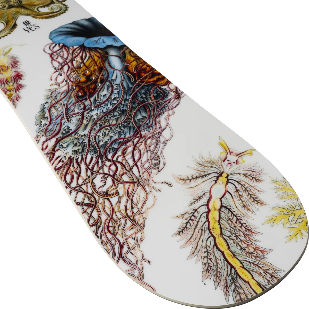 Yes! Women's Hell Yes 7 Yes! Women's Hell Yes - Image 5