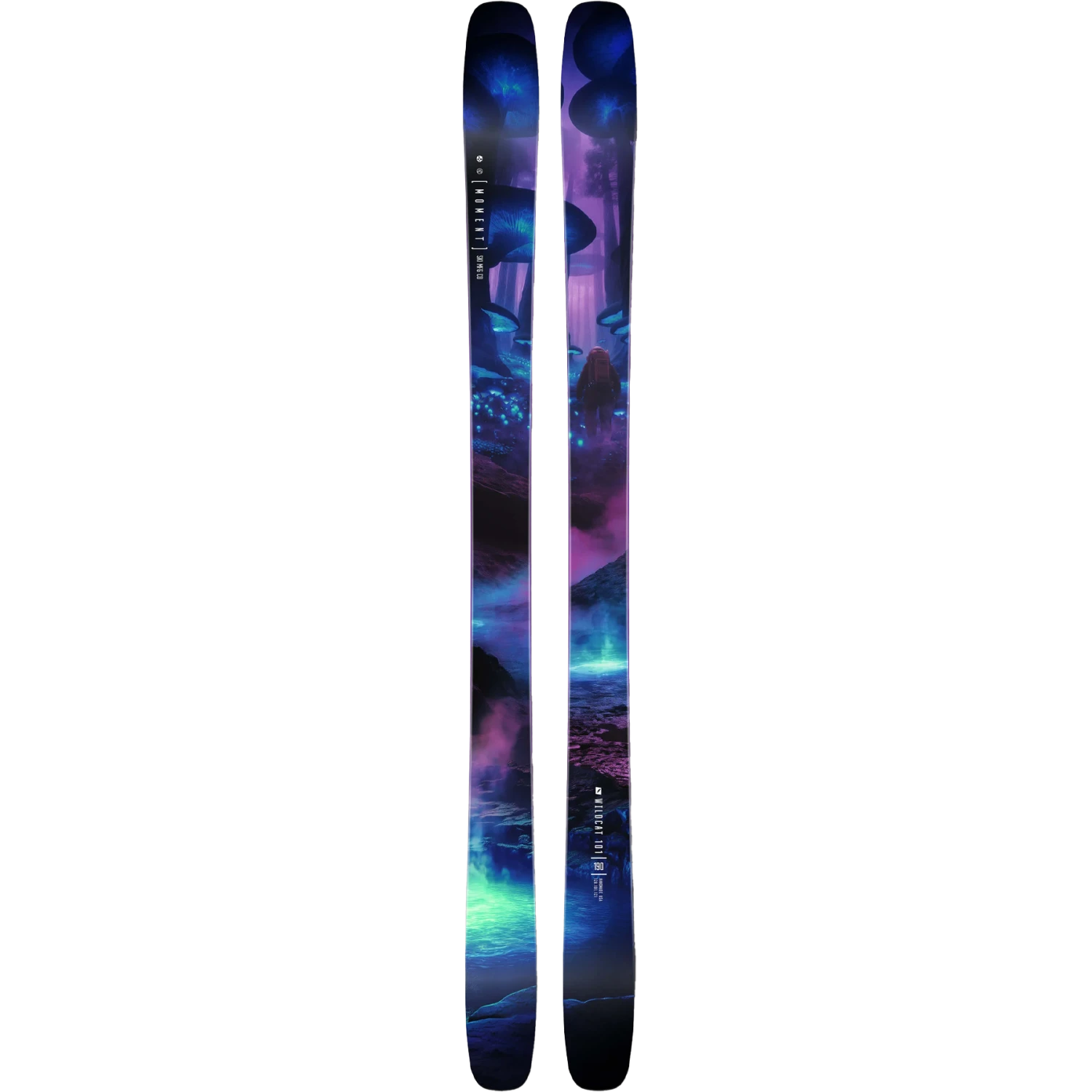 Wildcat 101 3 Wildcat 101