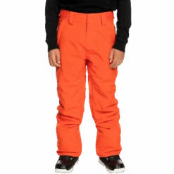 Quiksilver Youth Estate Snow Pant