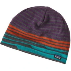 Patagonia Beanie Hat -Ski Sports Shop WBF17 28860 SVFG 600x600 a569f824 aa6c 4bc9 bced 94b4ba8652dc